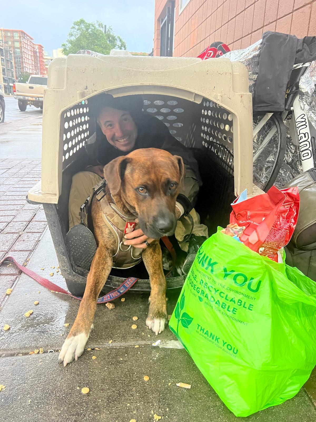 Additional photo of a homeless dog receiving support